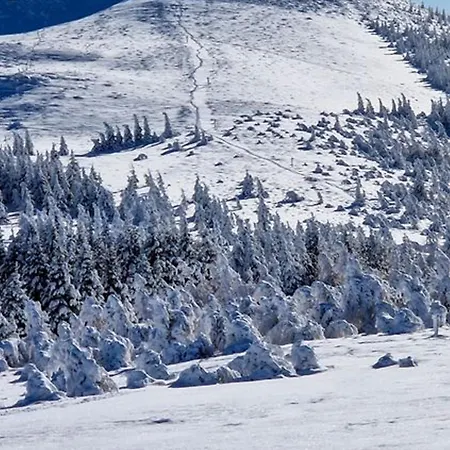 Au Pied Des Pistes A Super - Fr-1-814-110 * בסה-א-סנט-אנסטאיס