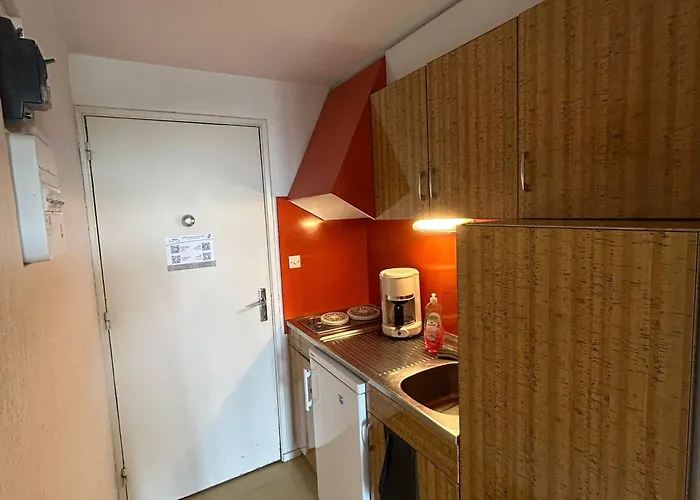 Skis Aux Pieds Pour 4 Personnes Pres Des Pistes - Fr-1-814-110 Apartment