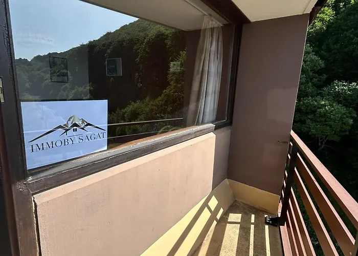 Apartment Skis Aux Pieds Pour 4 Personnes Pres Des Pistes - Fr-1-814-110